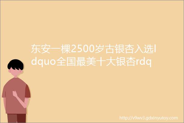 东安一棵2500岁古银杏入选ldquo全国最美十大银杏rdquo